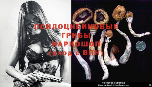 прущие грибы Алексеевка