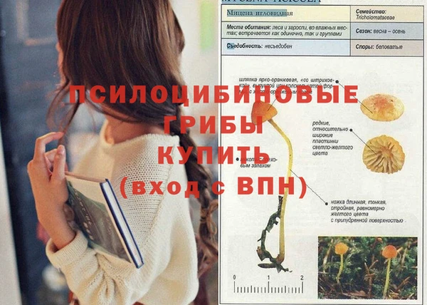 mix Алзамай