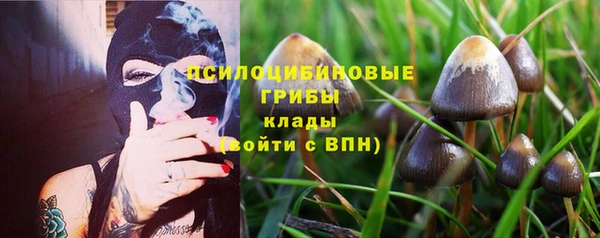 прущие грибы Алексеевка