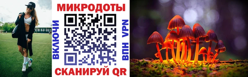 omg ссылка Шелехов Псилоцибиновые грибы Cubensis купить закладку